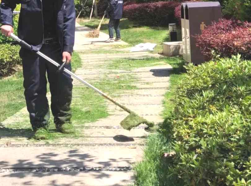 别墅绿化养护：修剪