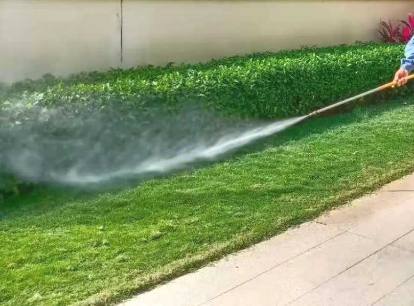 昆山私家花园绿化养护：治虫打药
