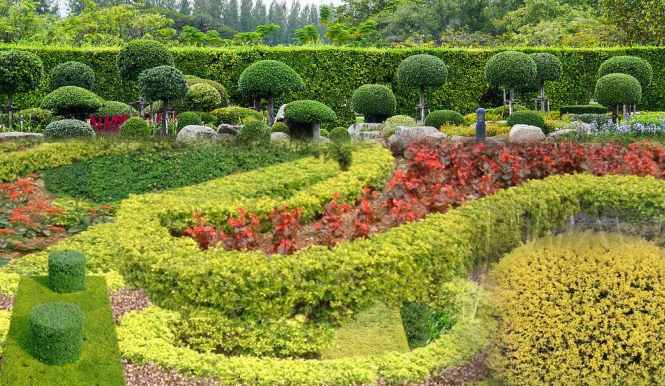 供应：各类草花、灌木色块苗