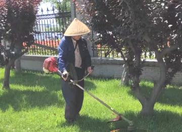 昆山工厂绿化养护