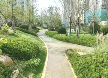 昆山小区/住宅社区绿化养护