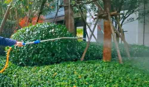 昆山绿化养护的费用大概是多少
